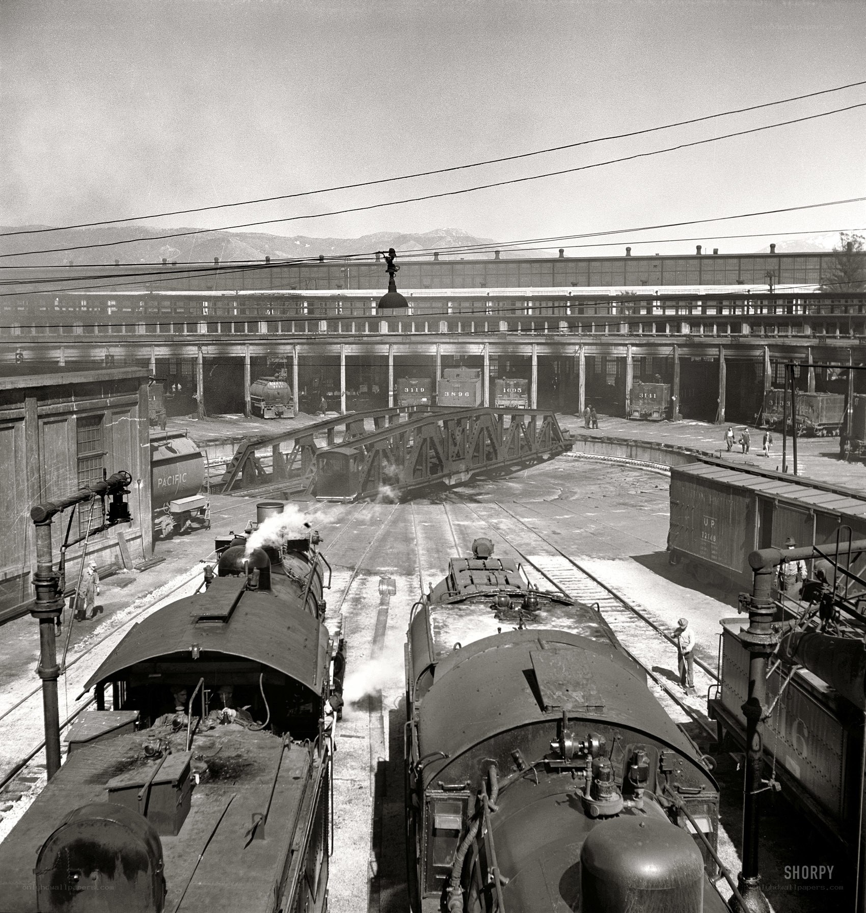 Train yard with steam locomotives