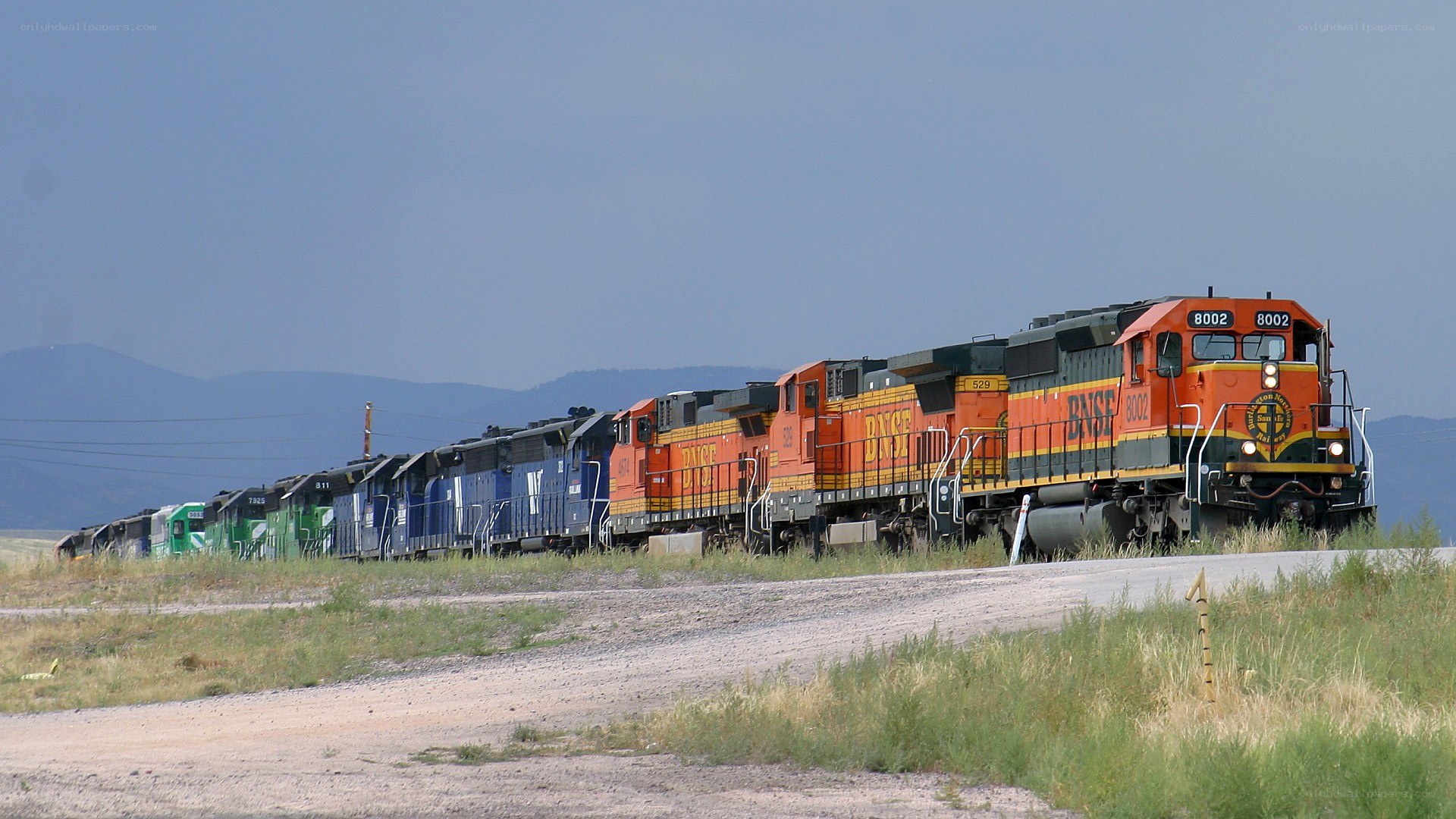trains on a rural track