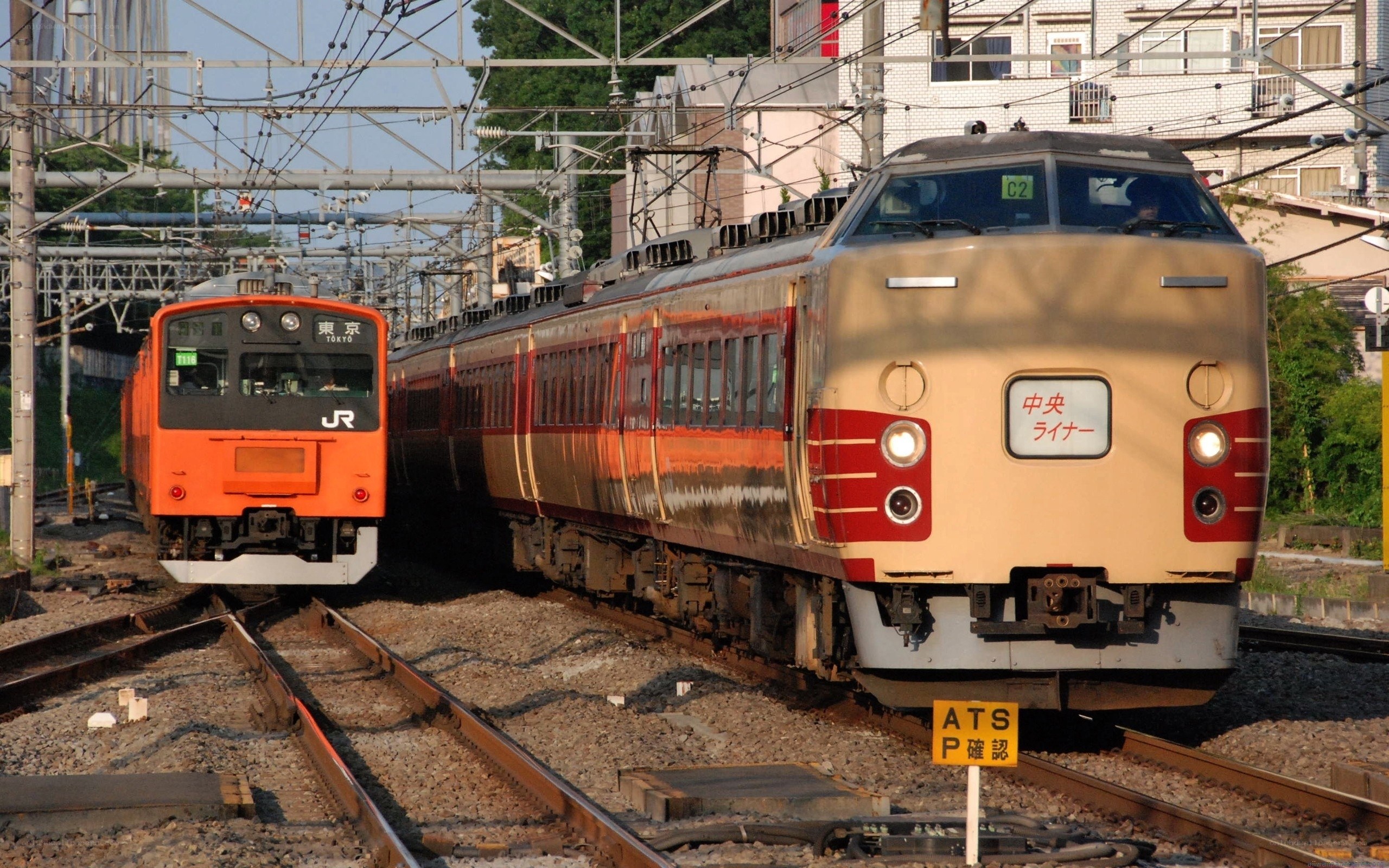 Trains on parallel tracks in Japan
