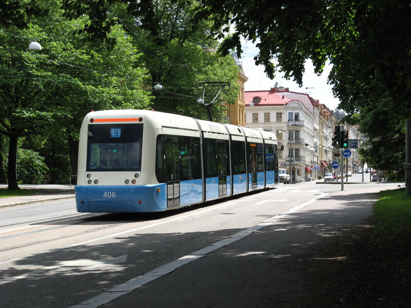 Tram on a tree-lined street