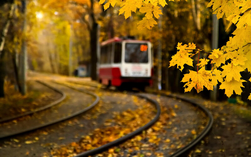 Tram on Curved Tracks