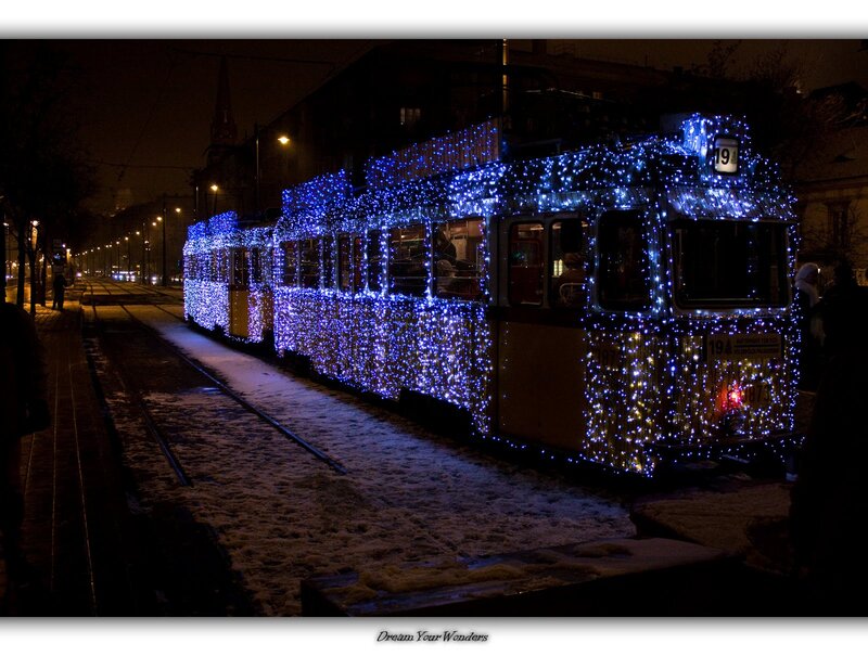 Trams Covered in Lights