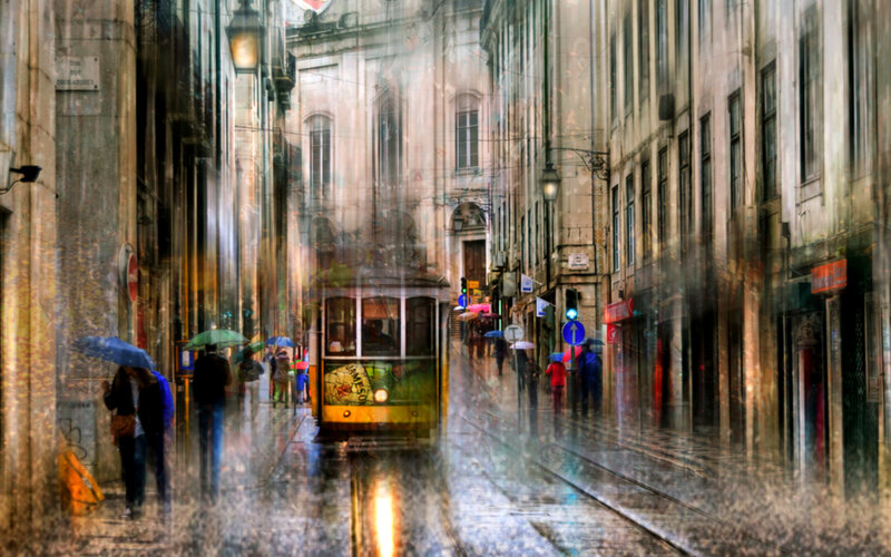 Trams in Rainy City