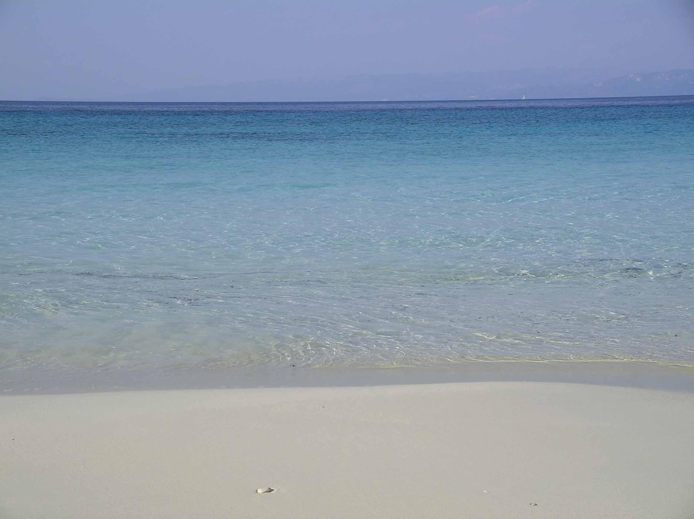 tranquil beach with clear water