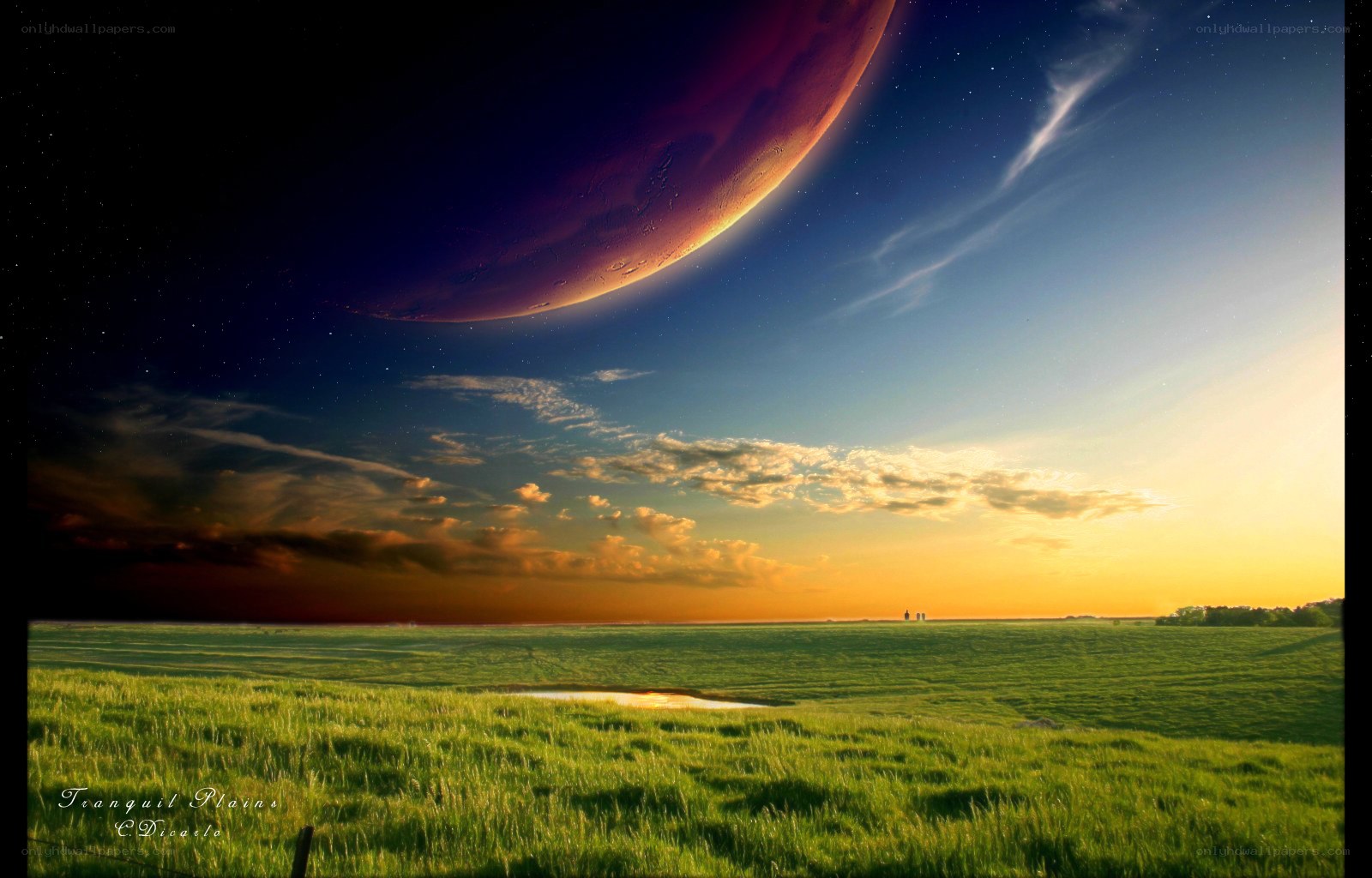 Tranquil Plains Landscape
