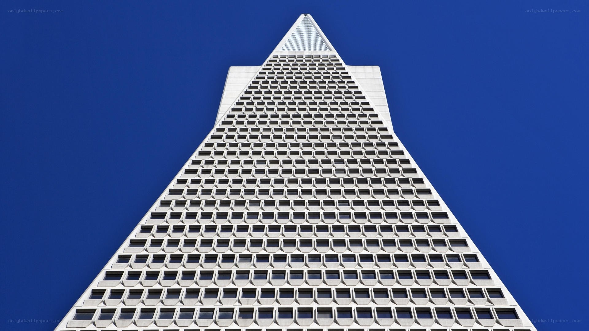 Transamerica Pyramid building