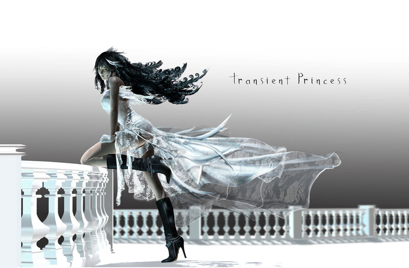 Transient Princess artwork