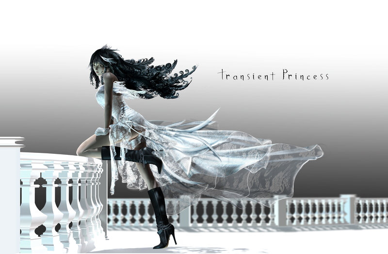 Transient Princess artwork