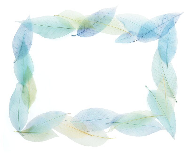translucent leaf frame