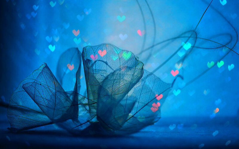 Translucent Leaf Skeleton — Blue