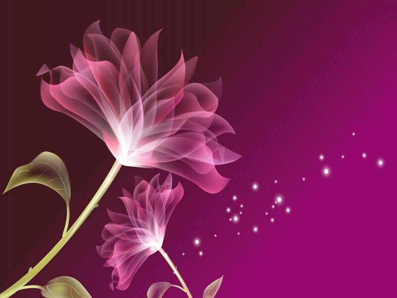 Translucent Pink Flowers