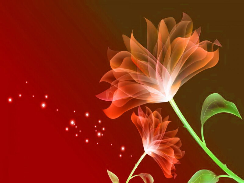 Translucent Red Flowers