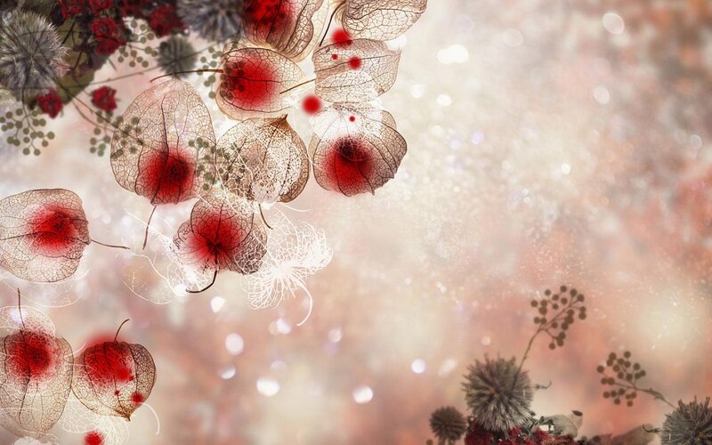Translucent Red Seed Pods