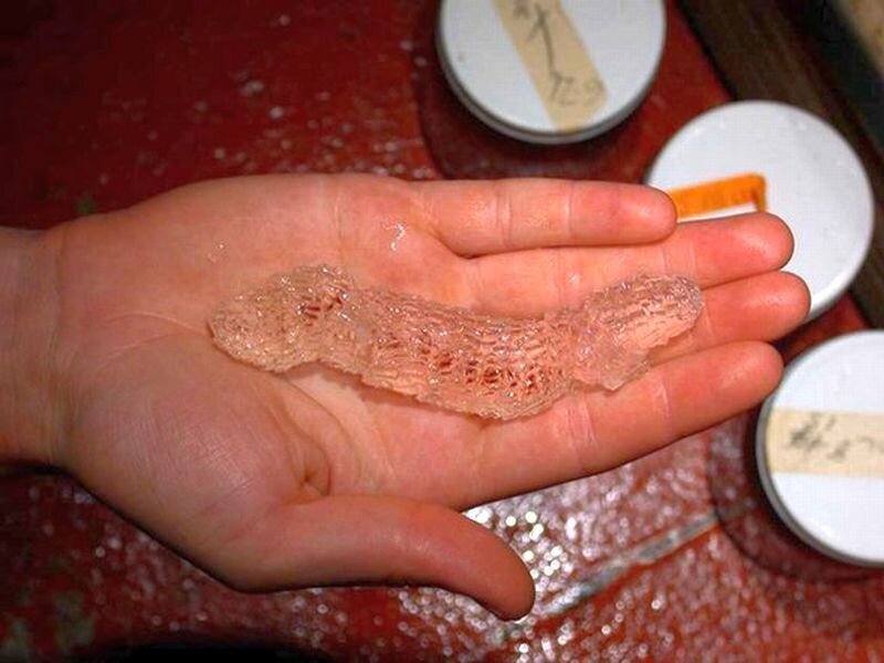 Translucent Sea Creature — Red