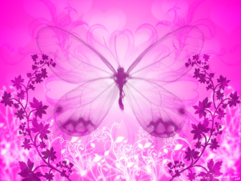 Transparent Butterfly
