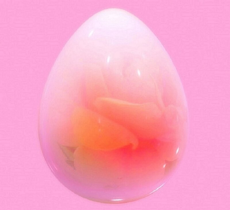 Transparent Egg with Flower