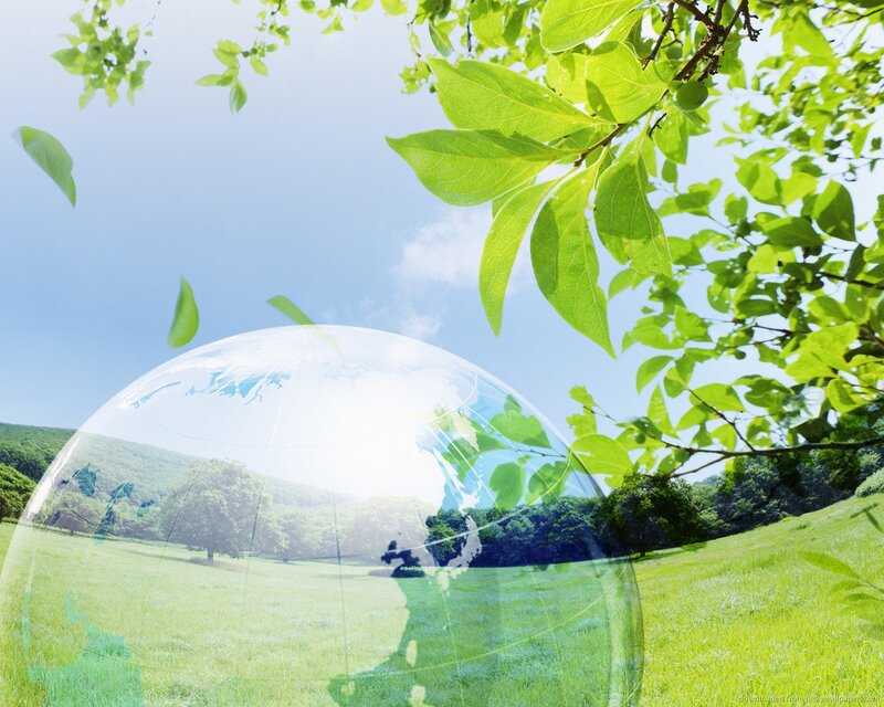 Transparent Globe in Field — Green, Serene, Afternoon