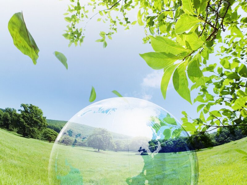 Transparent Globe in Field — Green, Serene