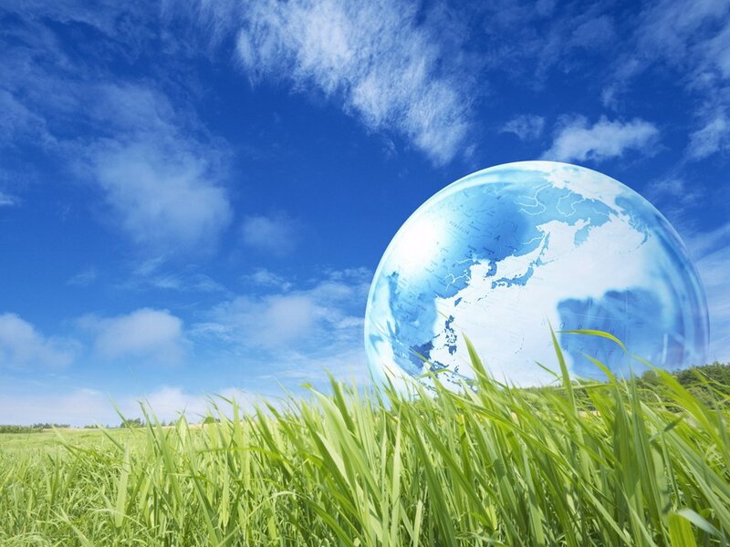 Transparent Globe in Grass