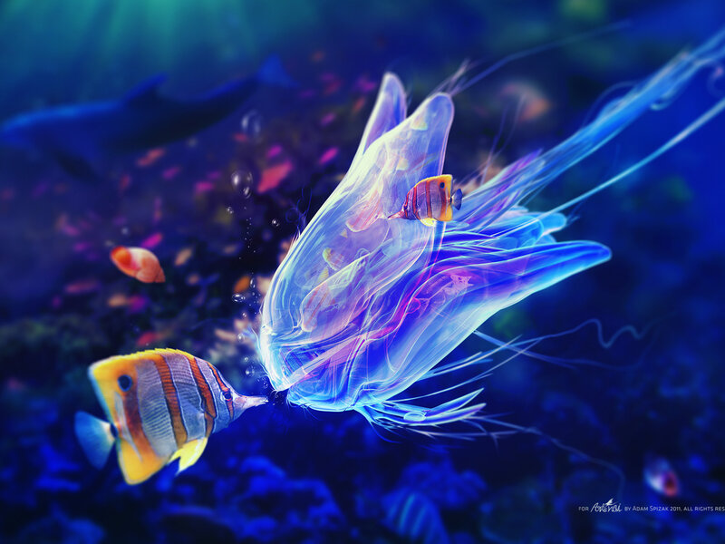 Transparent Jellyfish with Fish — Blue, Serene