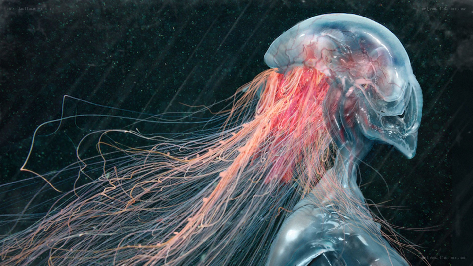 transparent jellyfish with glowing tentacles
