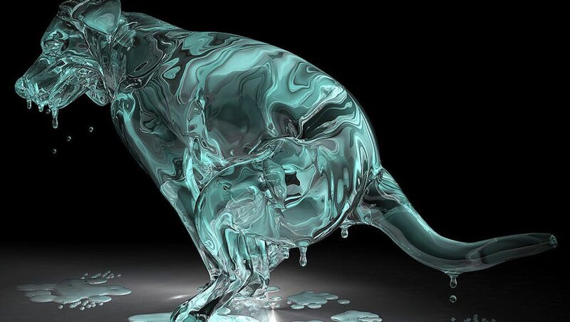 Transparent Liquid Dog