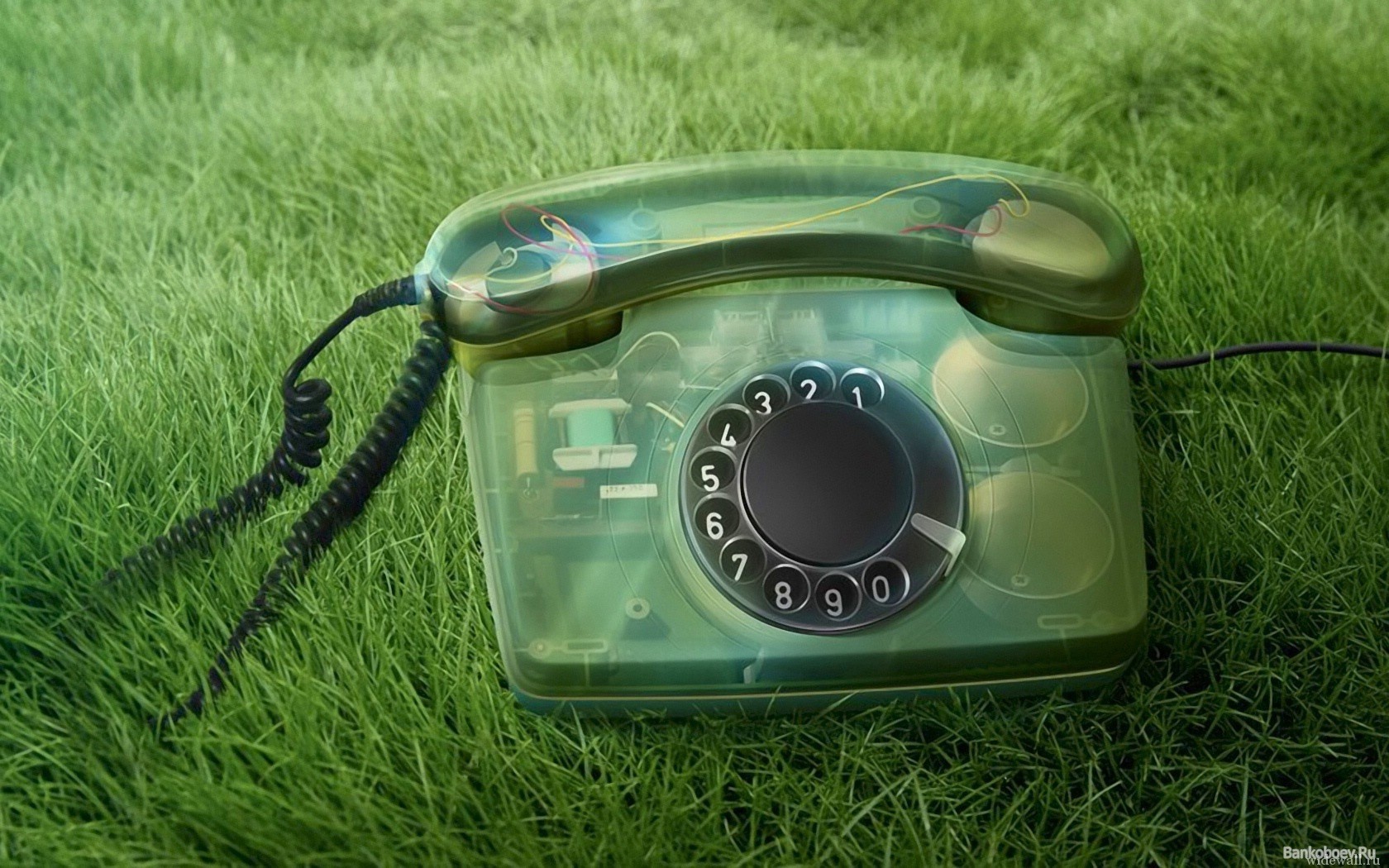Transparent phone on grass