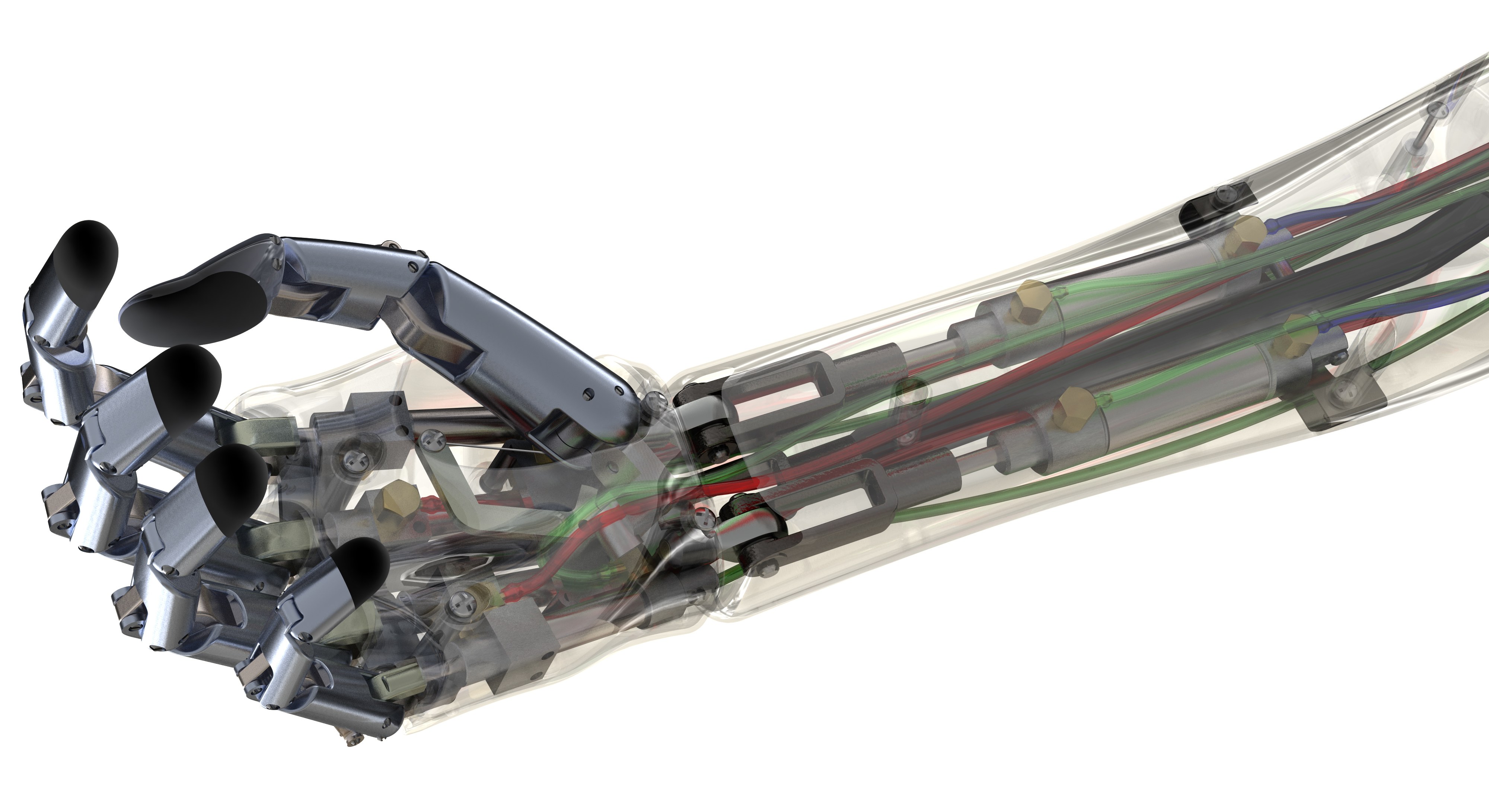 transparent robotic hand