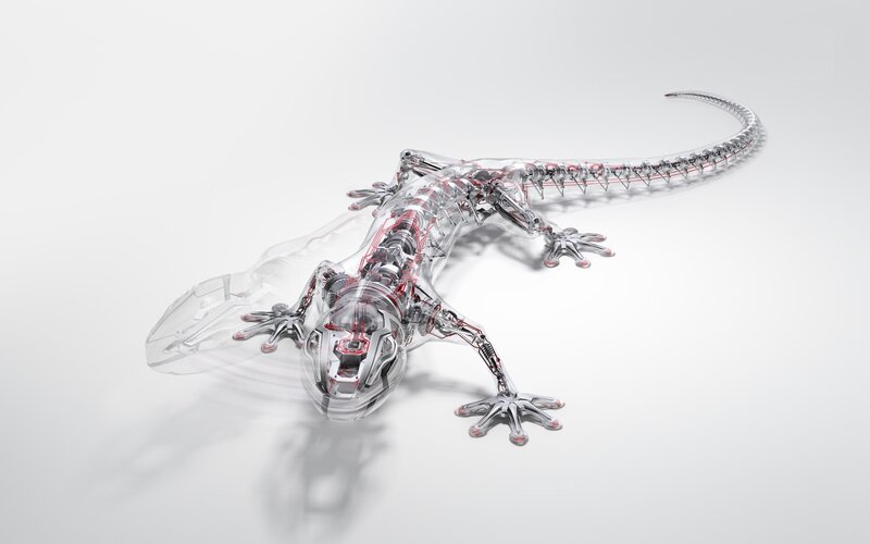 transparent robotic lizard