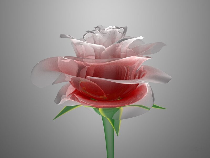 Transparent Rose Flower — Red, Serene, 3d Render, Stem