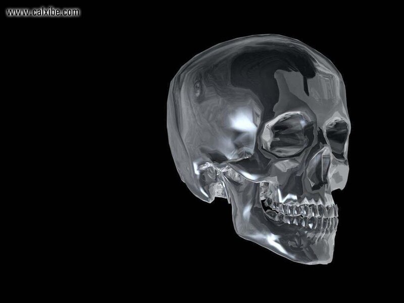 Transparent Skull — Gray