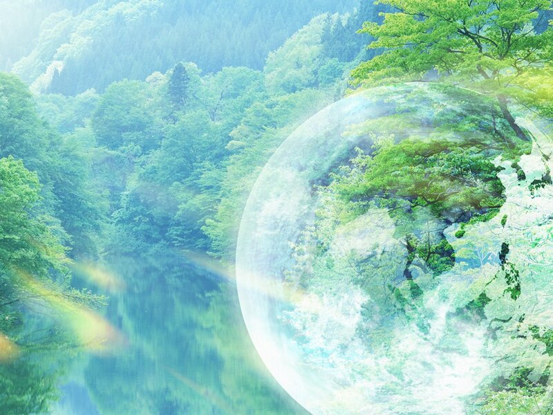 Transparent Sphere in Forest