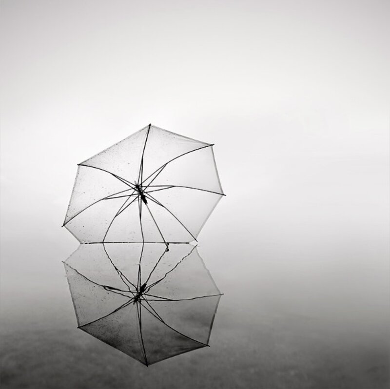 Transparent Umbrella Reflection