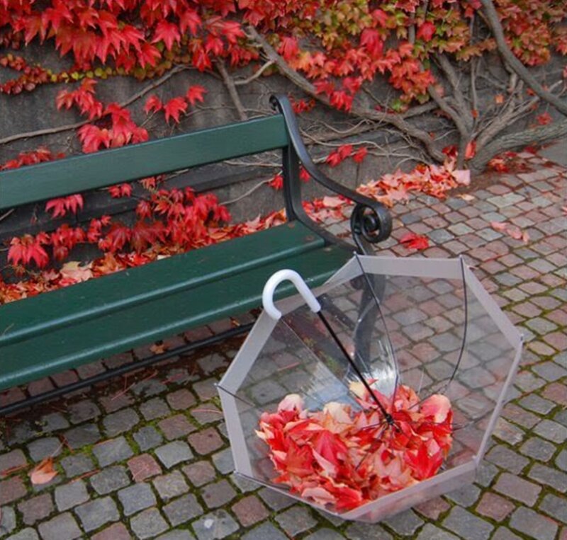 Transparent Umbrella with Leaves