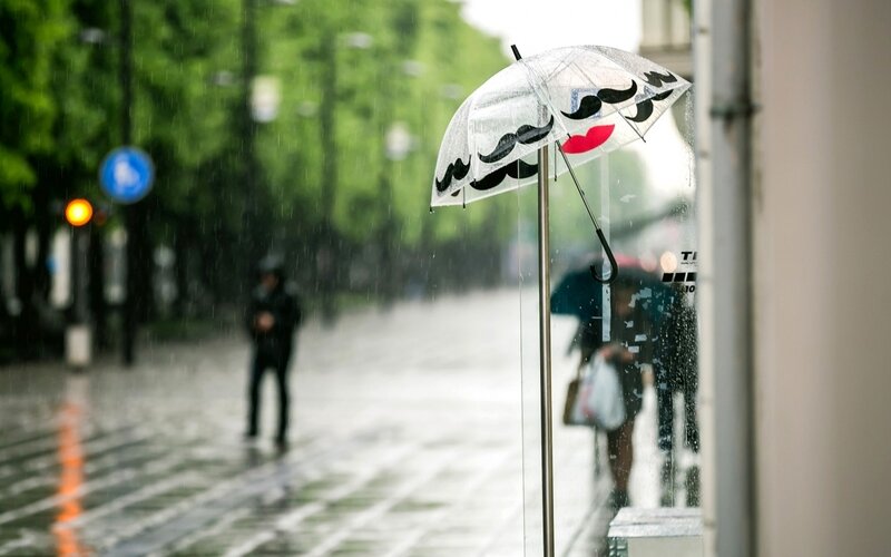 Transparent Umbrella with Mustaches