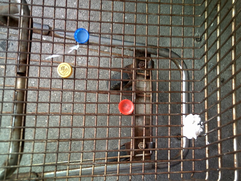 trash in shopping cart