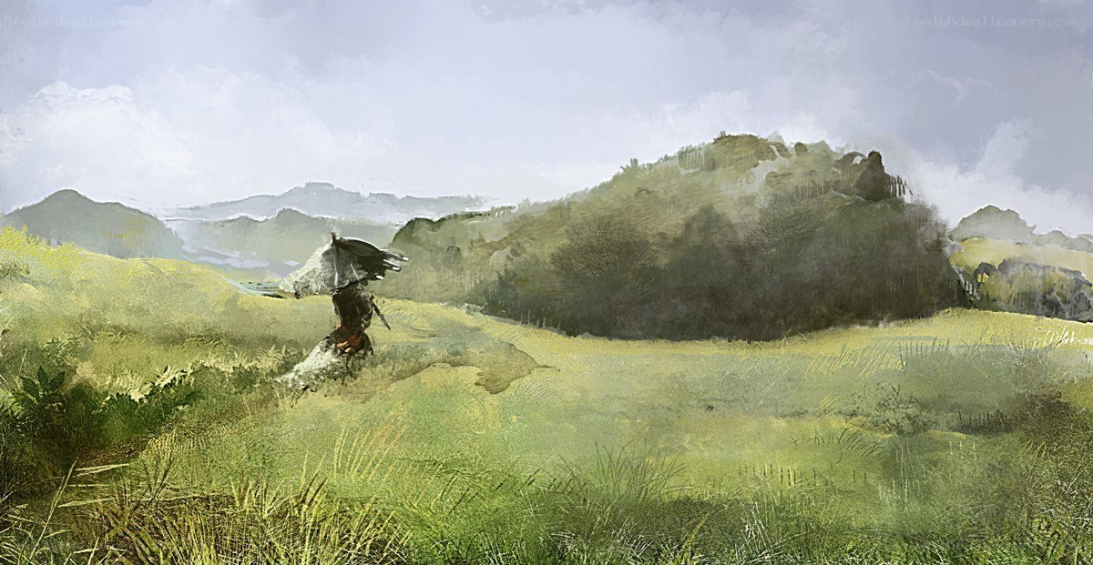 Traveler in a misty landscape