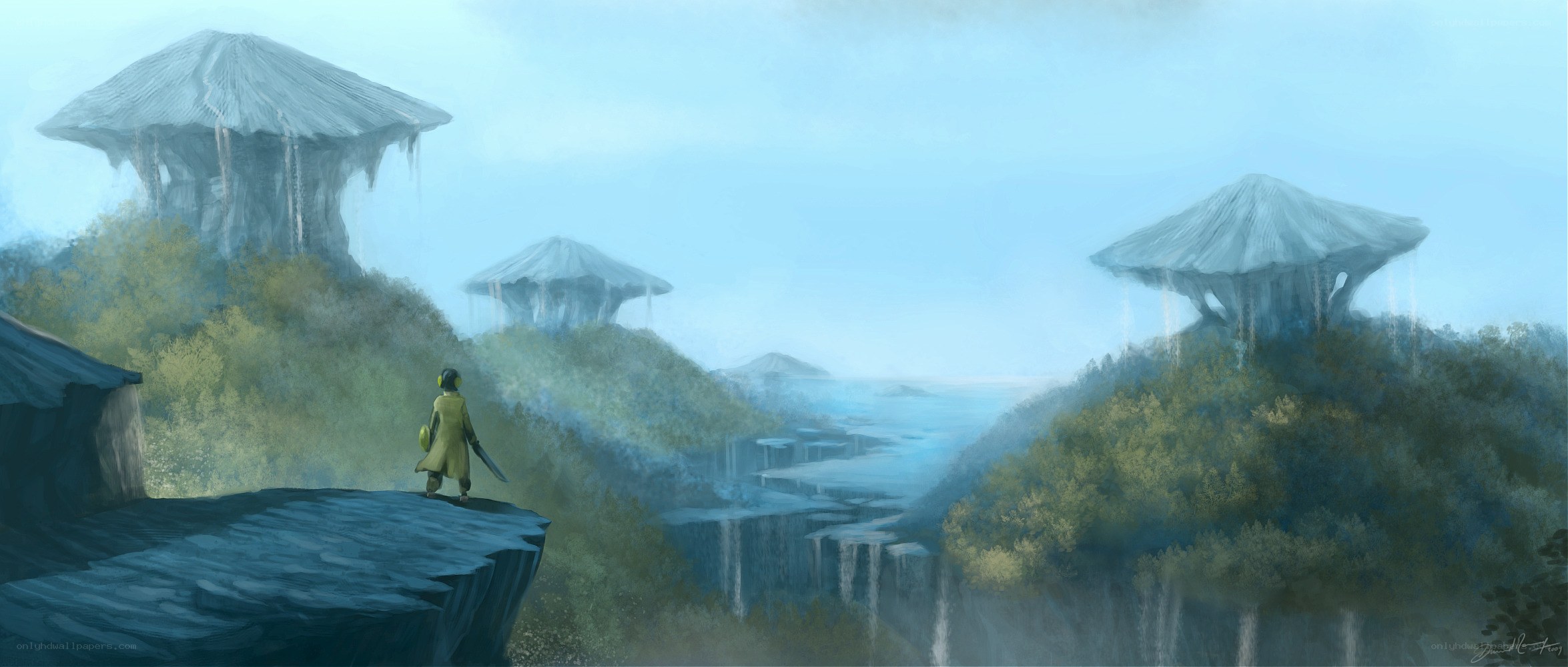 traveler on a cliff