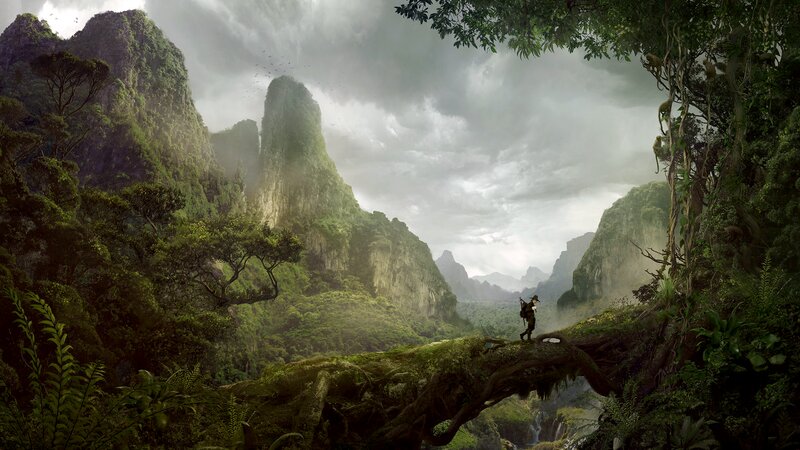 Traveler on a Forest Bridge