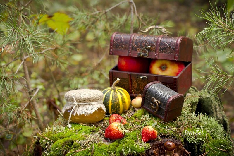 Treasure Chest with Fruit