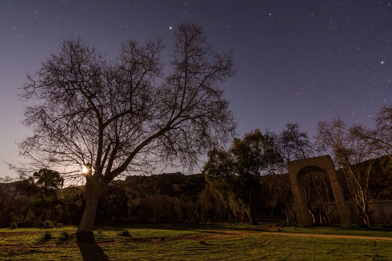 Tree and Arch at Night