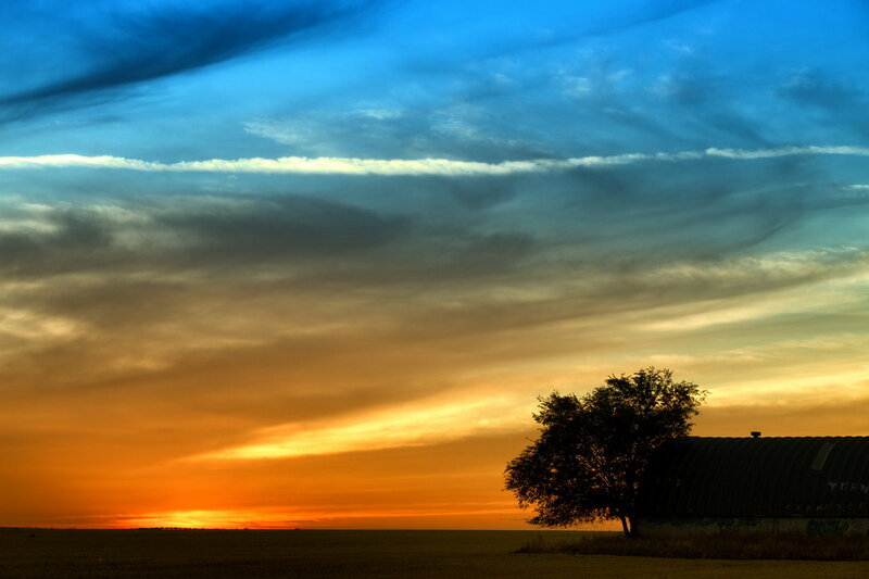 Tree and Barn at Sunset