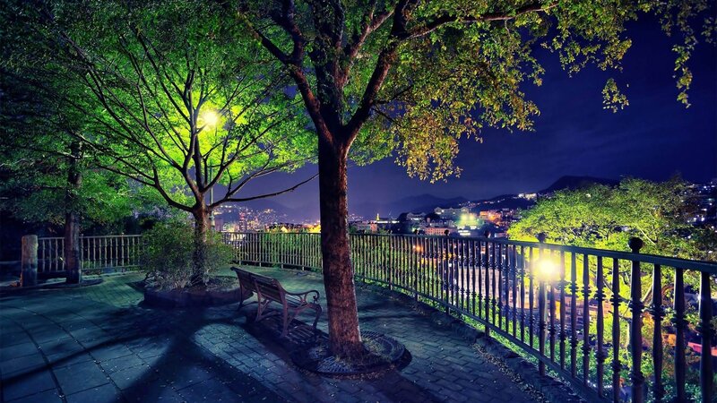 Tree and Bench at Night — Green, Serene, Photograph