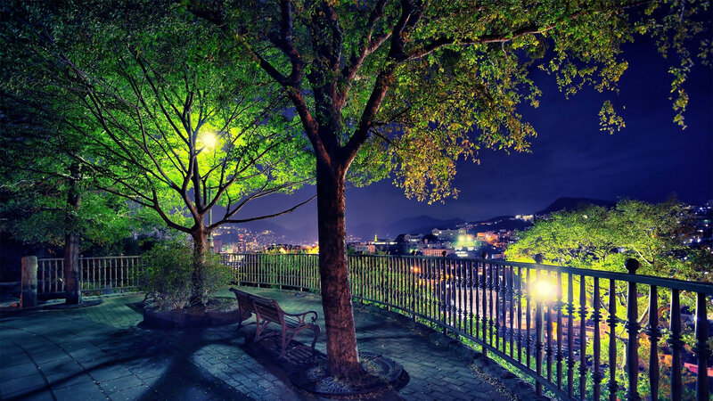 Tree and Bench at Night — Green, Serene