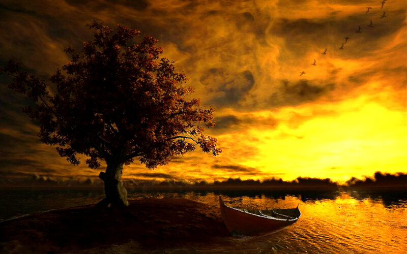 Tree and Boat at Sunset