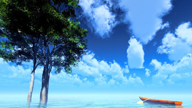 Tree and boat on calm water