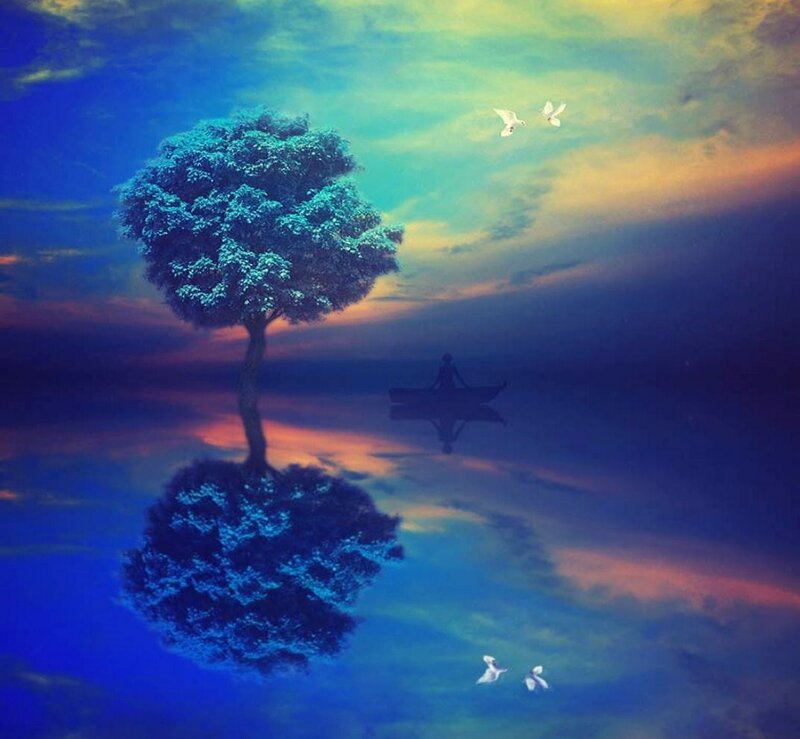 Tree and Boat on Water