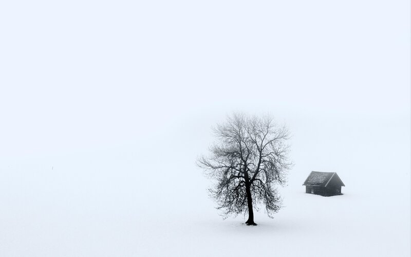 Tree and Cabin in Snow
