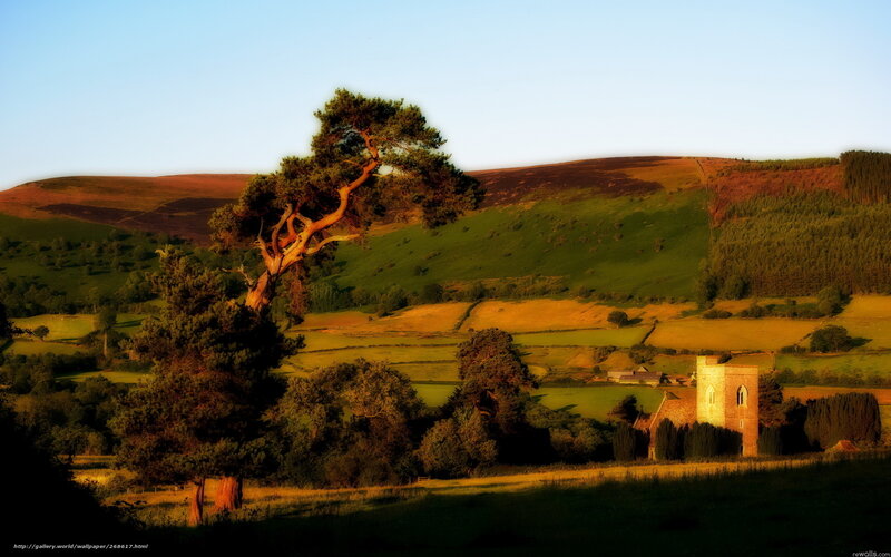 Tree and Church in Valley