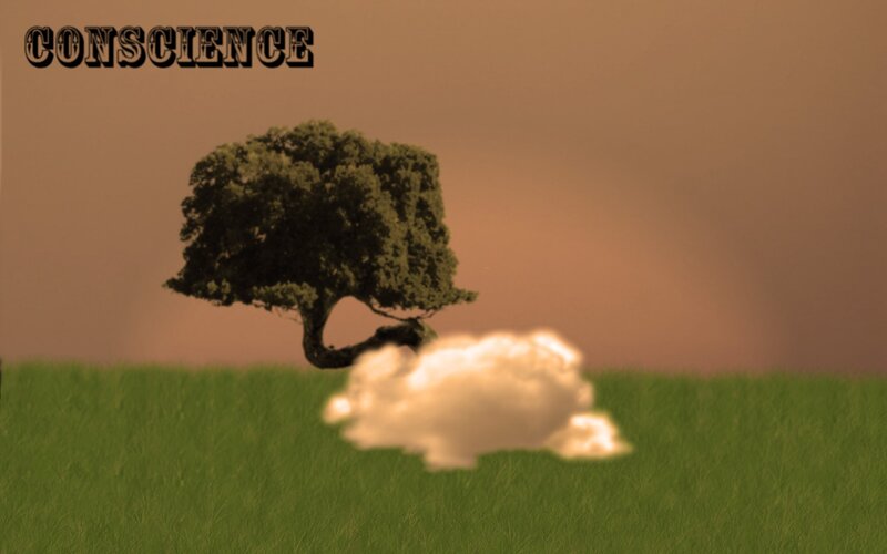 Tree and cloud in a field